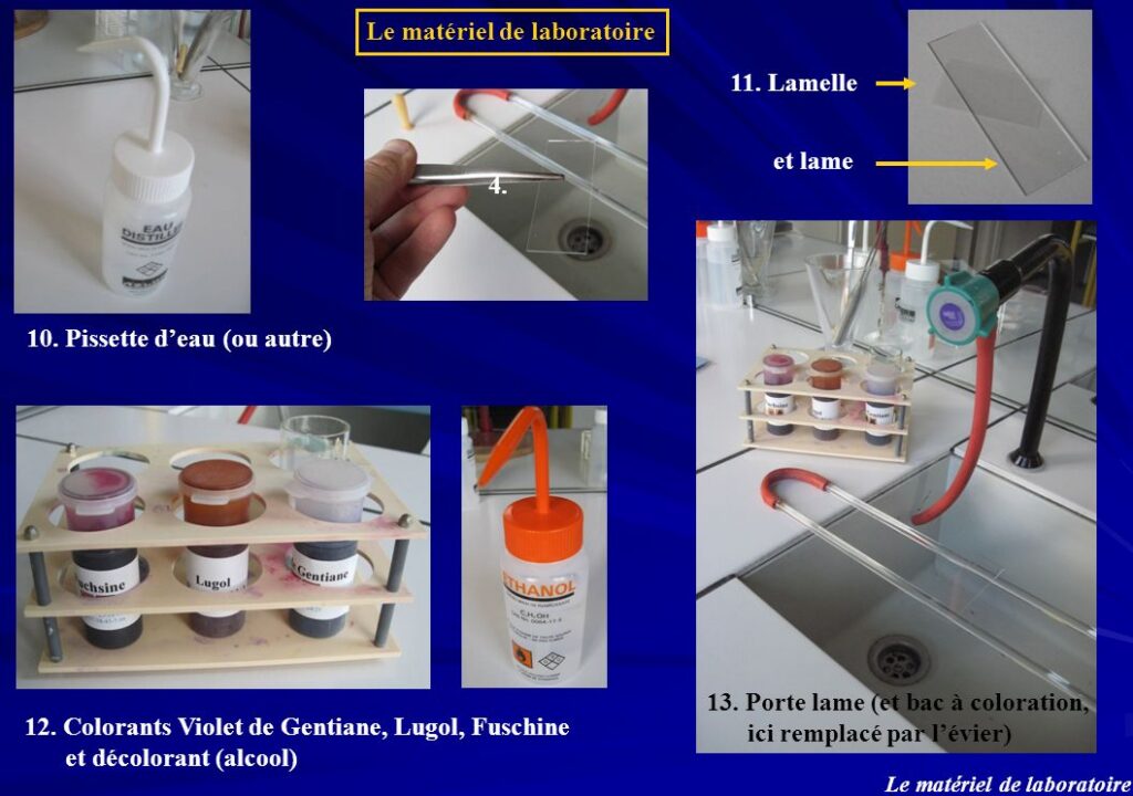 Laboratoire Bionov