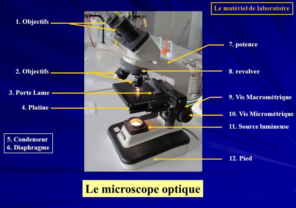 Laboratoire Bionov
